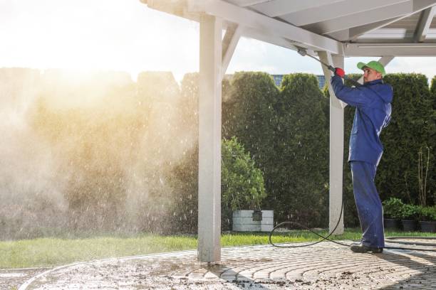 Best Roof Washing  in The Villages, FL