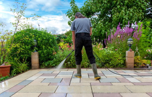 Best Sidewalk and Walkway Cleaning  in The Villages, FL